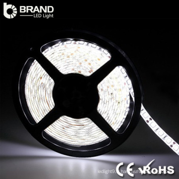 Rgb chaud wihte cool blanc ce rohs prix bon marché Chine fournisseur dmx led strip